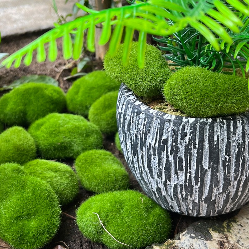 100/5PCS 인공 이끼 바위 가짜 녹색 이끼 바위  - Sphagnum Moss Dry 리뷰 및 가격