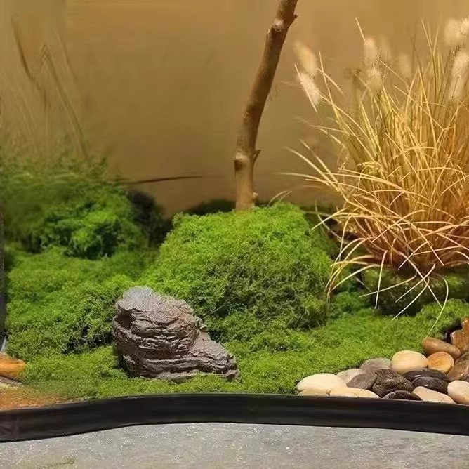 200g 영원한 생명 이끼 DIY 공예 잔디 인공 녹색 - Sphagnum Moss Dry 리뷰 및 가격