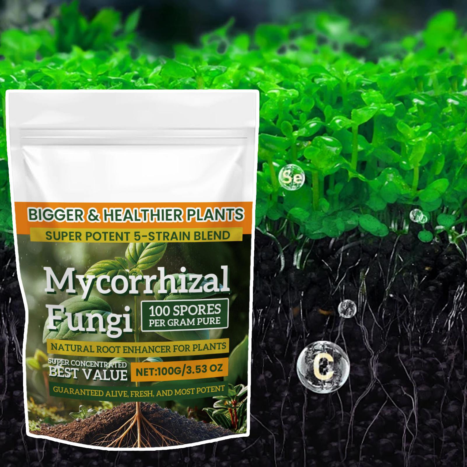 새로운 식물 영양분말 100g 식물 강화 영양분말 다목 - Rooting Hormone Powder 리뷰 및 가격