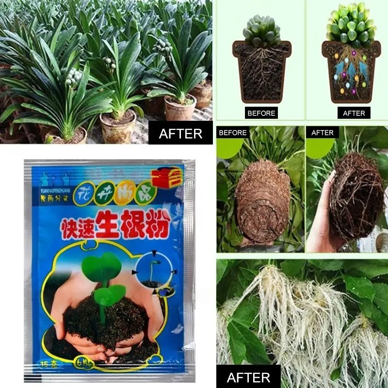 5pcs 빠른 뿌리 성장 분말 식물 빠른 뿌리 성장제  - Rooting Hormone Powder 리뷰 및 가격