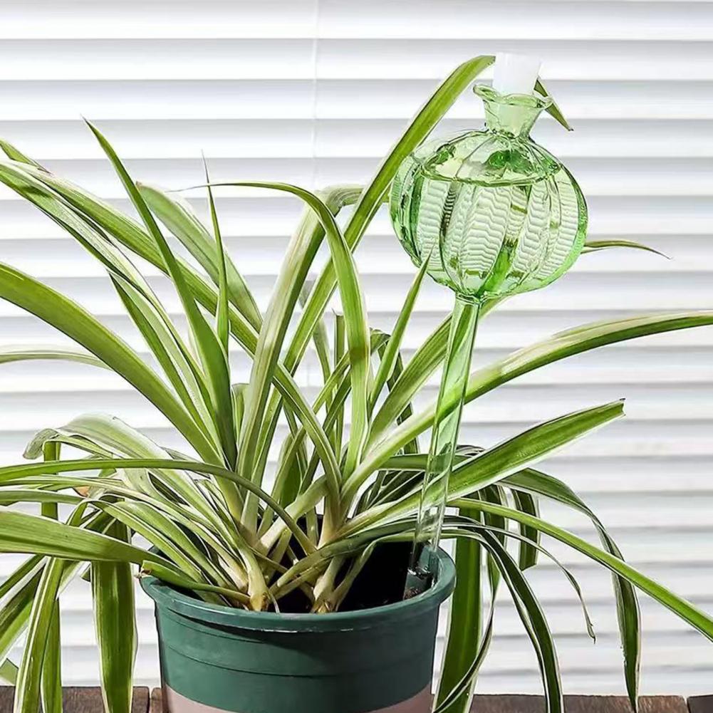 24cm 선인장 자동 급수 벌브 플랜터 인서트 자동화된 - Self Watering Insert 리뷰 및 가격