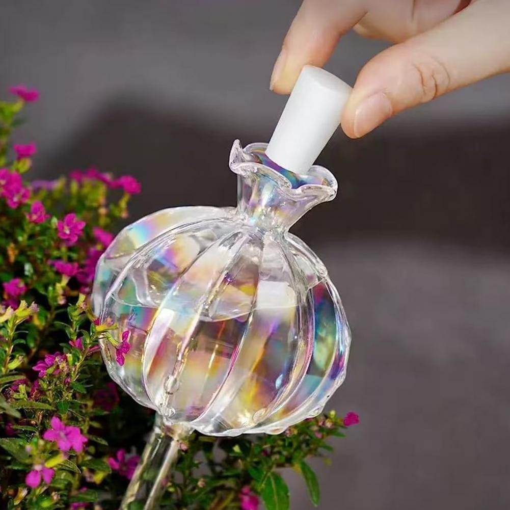 24cm 선인장 자동 급수 벌브 플랜터 인서트 자동화된 - Self Watering Insert 리뷰 및 가격