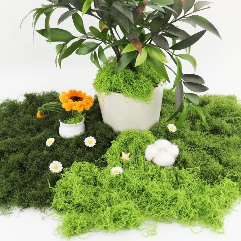 인공 녹색 이끼 공예용 가짜 이끼 화분 식물 요정 정원 - Sphagnum Moss Dry 리뷰 및 가격