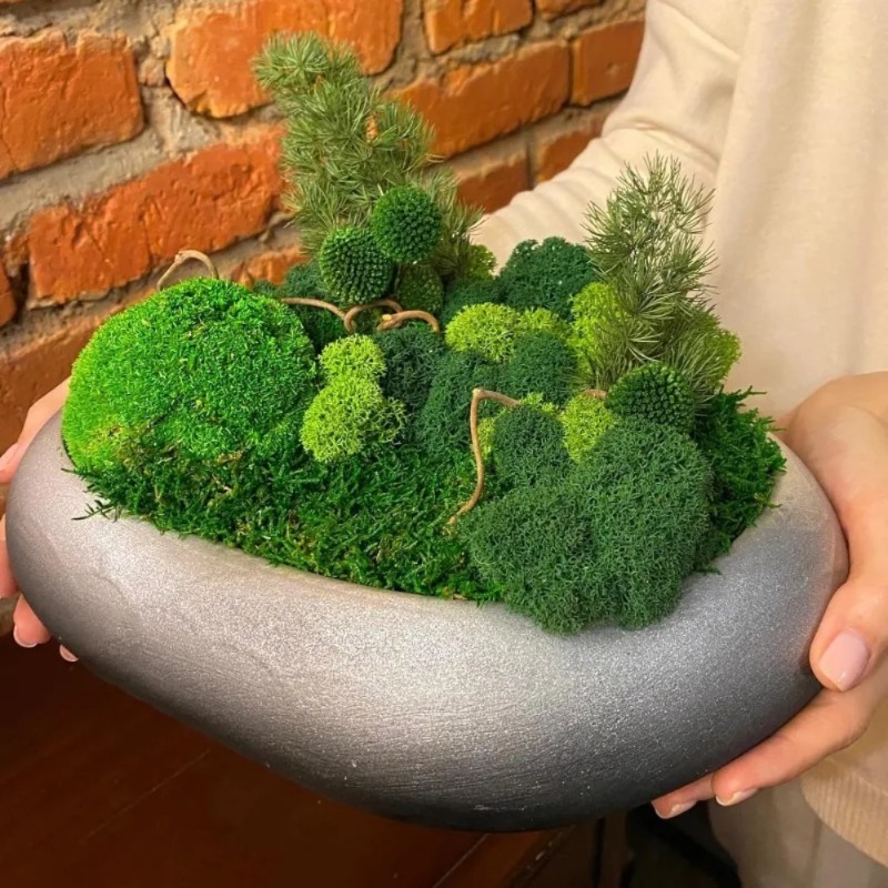 인공 녹색 이끼 공예용 가짜 이끼 화분 식물 요정 정원 - Sphagnum Moss Dry 리뷰 및 가격