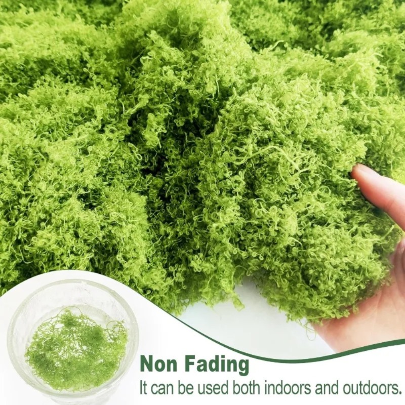 인공 녹색 이끼 공예용 가짜 이끼 화분 식물 요정 정원 - Sphagnum Moss Dry 리뷰 및 가격
