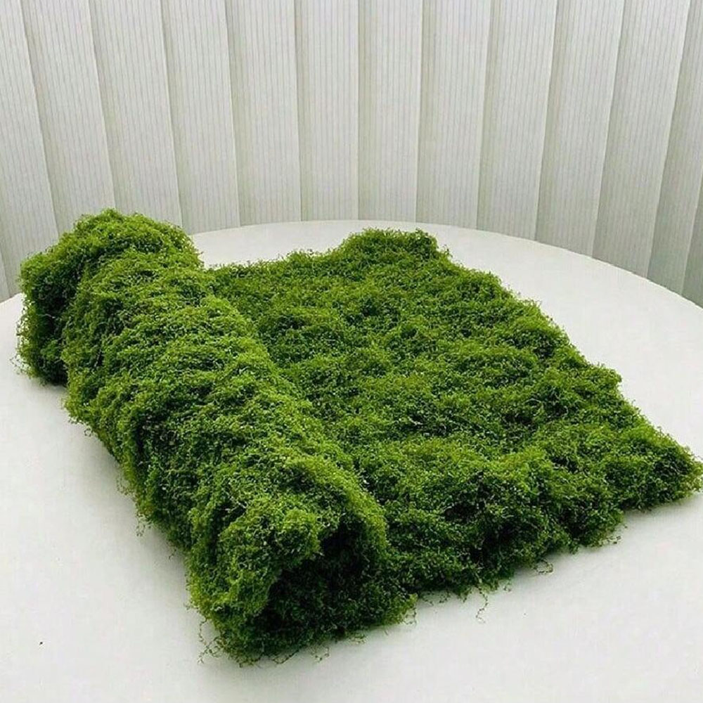 1*1m 인조 이끼 DIY 공예 잔디 인공 이끼 보존  - Sphagnum Moss Dry 리뷰 및 가격