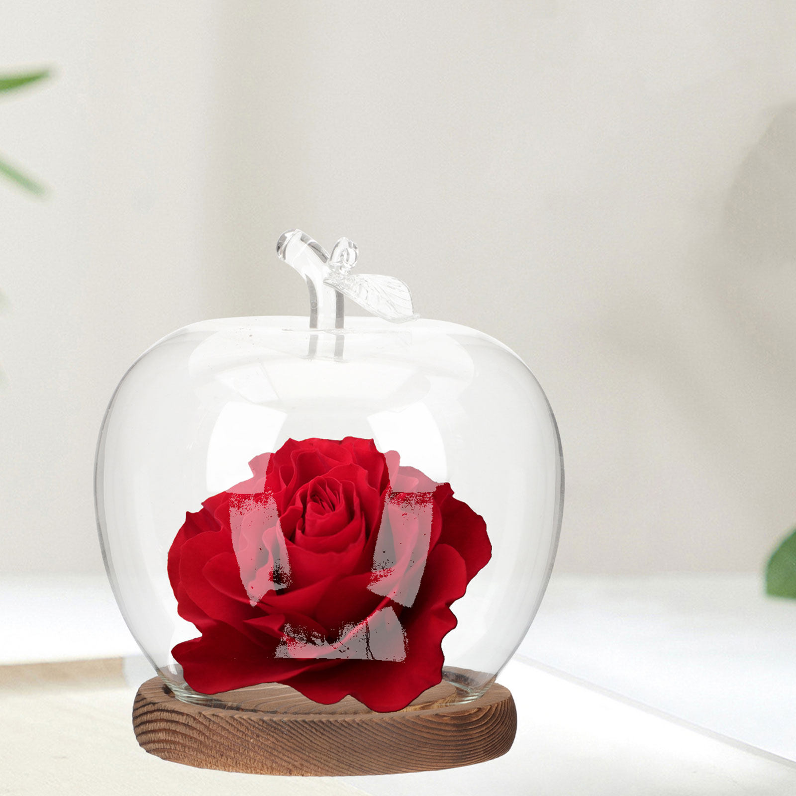 2개의 투명 유리 돔과 나무 받침대가 있는 장식용 덮개 - Plastic Dome Clear 리뷰 및 가격
