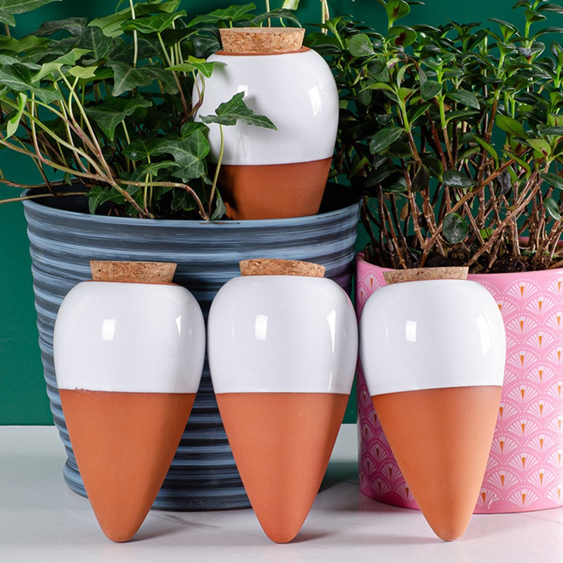 식물 급수 공, 테라코타 급수 스파이크, 느린 방출 급 - Self Watering Insert 리뷰 및 가격